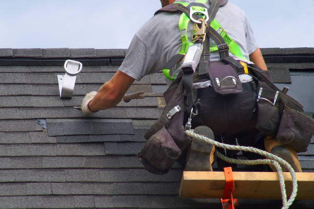 Best Storm Damage Siding Repair  in Arcadia, WI