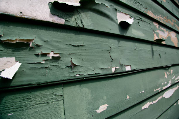 Affordable siding repair and maintenance services in Arcadia, WI