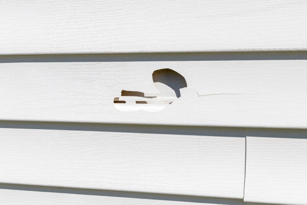 Trusted Arcadia, WI Siding Installation & Repair Experts